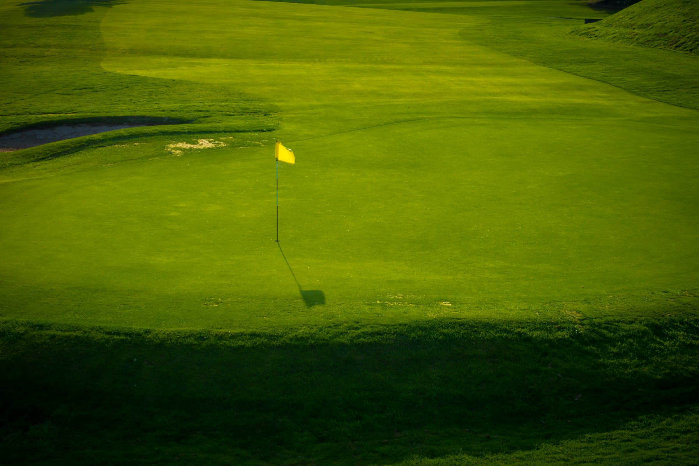 A flag on a deep green, late evening light